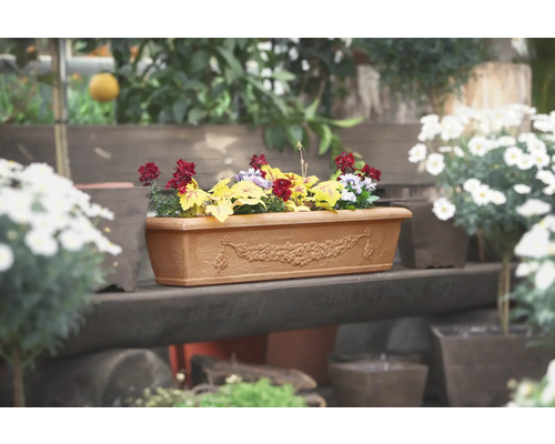 Jardinière avec des plantations saisonnières sur un banc en bois