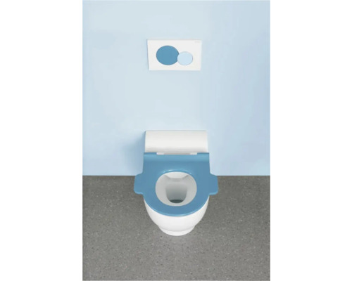 Toilettes avec siège de toilettes et plaque de commande