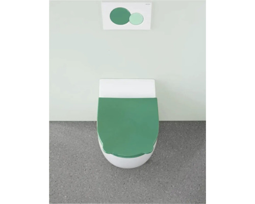 Toilettes avec plaque de commande dans une salle de bains