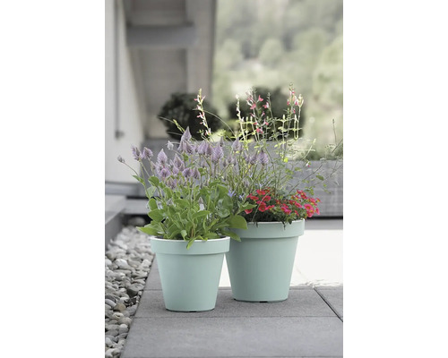 Zwei mit Blumen bepflanzte Pflanzgefäße auf einem Pflasterweg