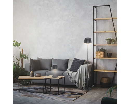 Salon avec canapé, table basse, lampadaire et étagère