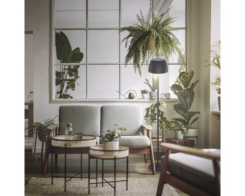 Salon avec canapé, lampe de table et plantes d''intérieur devant une fenêtre