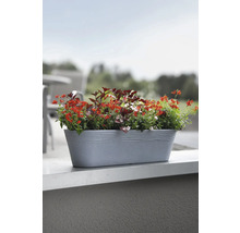 Blumenkasten mit verschiedenen Blumen im Aussenbereich.