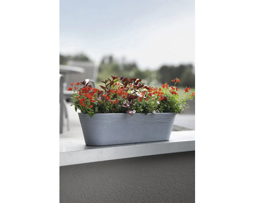 Blumenkasten mit verschiedenen Blumen im Aussenbereich.