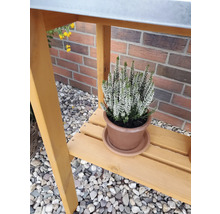 Bruyère des neiges résistante à l''hiver en pot sur une table de jardin