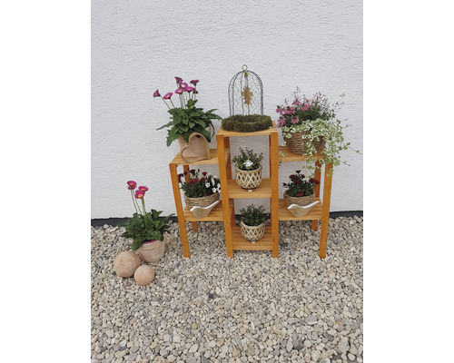 Étagère à fleurs en bois «Heilbronn» 98 x 32 x 88 cm couleur miel Étagère à plantes en bois avec diverses plantes en pot et décorations à l''extérieur