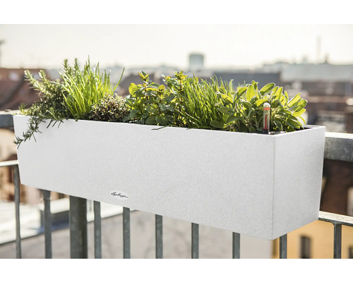 Weißer Balkonkasten mit Kräutern auf einem Balkongeländer