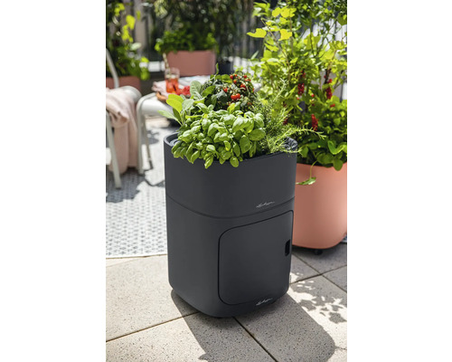 Hochbeet mit Kräutern und Tomatenpflanzen auf einer Terrasse