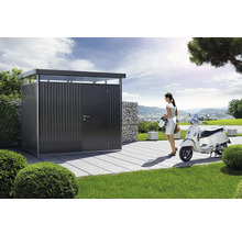 Abri de jardin biohort HighLine T. HS avec étagère et support d’outils 155 x 275 cm gris foncé métallique