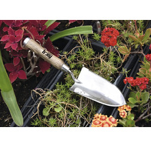 Transplantoir de jardin en acier inoxydable avec manche en bois parmi les plantes