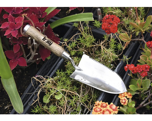 Transplantoir de jardin en acier inoxydable avec manche en bois parmi les plantes