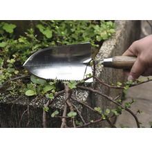 Transplantoir en acier inoxydable avec manche en bois pour le jardinage