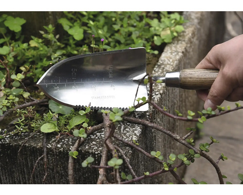 Transplantoir en acier inoxydable avec manche en bois pour le jardinage