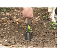 Eine Person pflanzt eine kleine Pflanze mit einem Pflanzholz in den Boden.