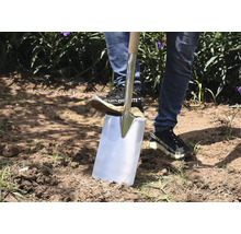 Une personne utilise une bêche avec un manche en bois dans le jardin pour creuser la terre.