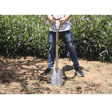 Une personne se tient dans un champ avec une bêche à manche en bois et lame en acier.
