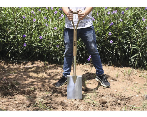 Une personne se tient dans un champ avec une bêche à manche en bois et lame en acier.