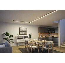 Espace de vie avec table à manger, kitchenette et plafonnier