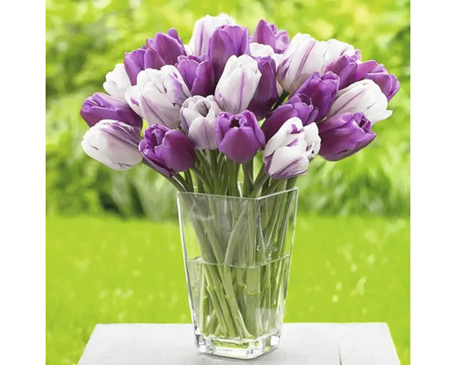 Bouquet de tulipes dans un vase en verre