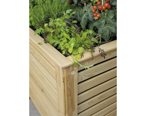 Jardinière surélevée en bois avec salade et plants de tomates