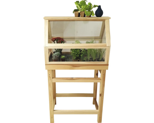 Pflanztisch aus Holz mit Glasabdeckung und verschiedenen Pflanzen