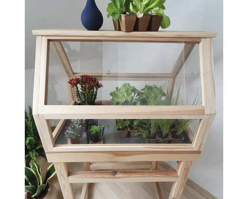 Gewächshaus aus Holz mit Pflanzen und Sukkulenten