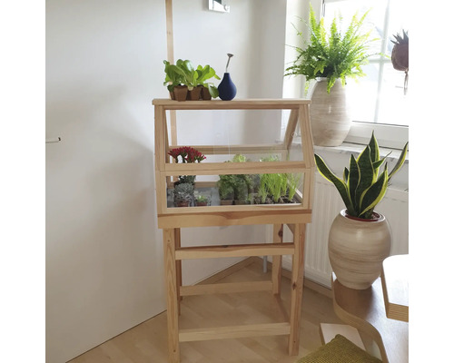 Holzfrühbeet mit Pflanzen im Innenraum