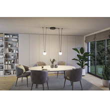 Salle à manger avec table à manger, chaises, bibliothèque, plantes d''intérieur et suspension