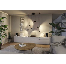 Salon avec suspension, platine vinyle et plantes d''intérieur pour une atmosphère chaleureuse.