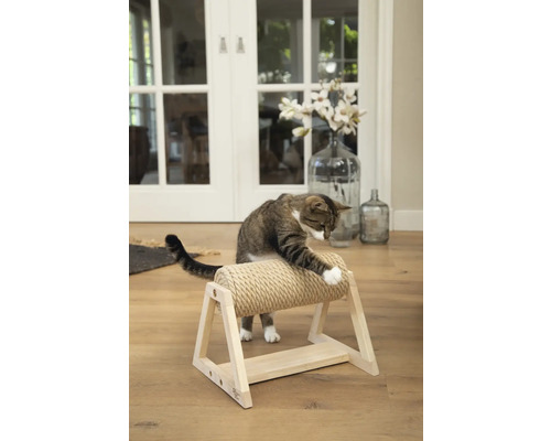 Chat utilisant un rouleau à gratter en bois et sisal