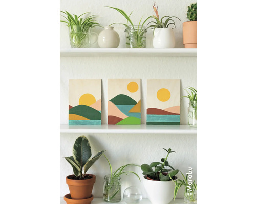 Étagère avec des plantes et trois peintures de paysage