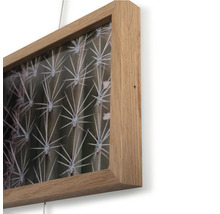 Gerahmtes Wandbild mit Kaktusmotiv