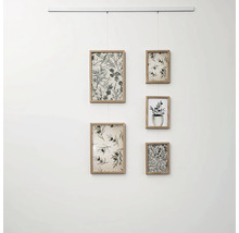 Galeriebild mit fünf Holzrahmen und botanischen Motiven, aufgehängt an einem Schienensystem