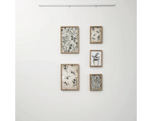 Galeriebild mit fünf Holzrahmen und botanischen Motiven, aufgehängt an einem Schienensystem