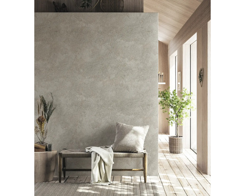 Pièce lumineuse avec mur en béton, banc, coussin et plante d''intérieur.