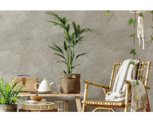 Salon décoratif avec meubles en rotin et plantes d''intérieur pour une ambiance lumineuse et organisée.