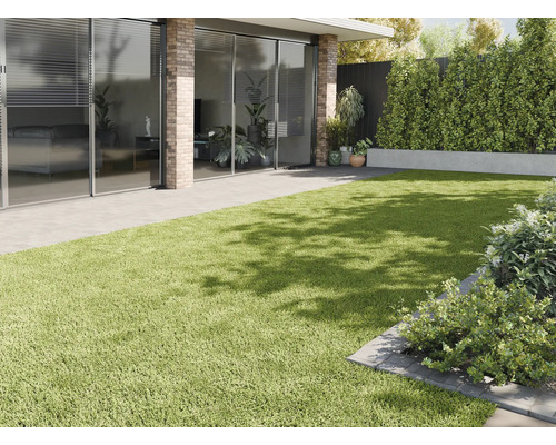 Extérieur avec gazon synthétique, terrasse et plantations