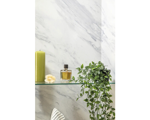 Nature morte de salle de bains avec bougie, parfum, décorations et plante d''intérieur sur étagère en verre devant un mur en marbre