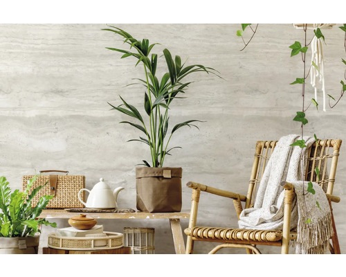 Intérieur décoratif avec plantes d''intérieur, fauteuil en rotin et accessoires d''habitation