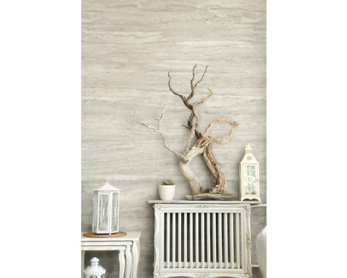 Scène décorative avec bois flotté, lanternes et plante grasse sur une étagère de radiateur.