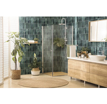 Badezimmer mit Dusche, Waschtisch mit Spiegel und Pflanzen für eine natürliche Atmosphäre