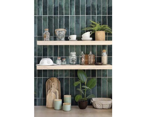 Scène de cuisine décorative avec étagères, vaisselle et plantes devant des carreaux muraux verts.