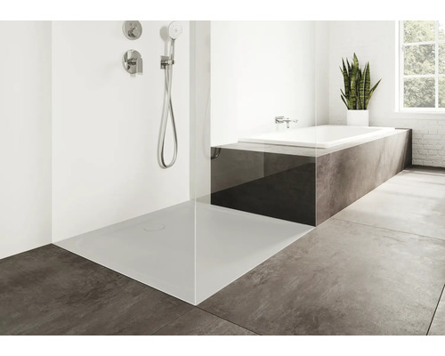Salle de bains avec douche, baignoire et plante d''intérieur