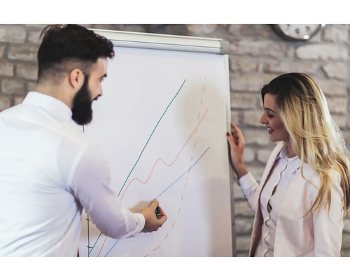 Deux personnes présentent des diagrammes sur un tableau blanc, adapté aux présentations et au brainstorming.