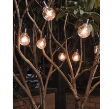 Lichterkette mit Glühbirnen in Baum gehängt