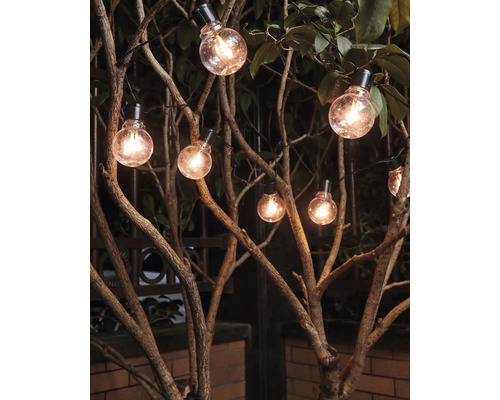Guirlande lumineuse avec ampoules suspendue à un arbre