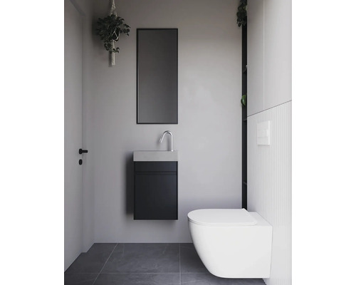 Salle de bain moderne avec WC suspendu, meuble sous-lavabo, miroir et plante suspendue