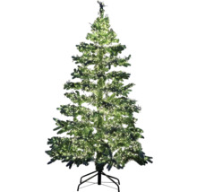 Geschmückter grüner Weihnachtsbaum mit Beleuchtung
