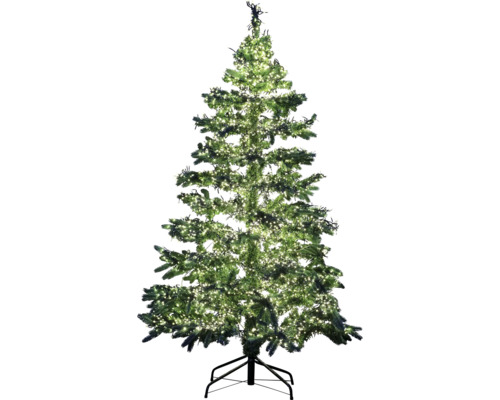 Geschmückter grüner Weihnachtsbaum mit Beleuchtung