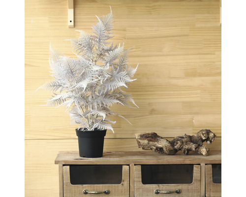 Dekorativer Kunstfarn im Topf auf einem Holzschrank.